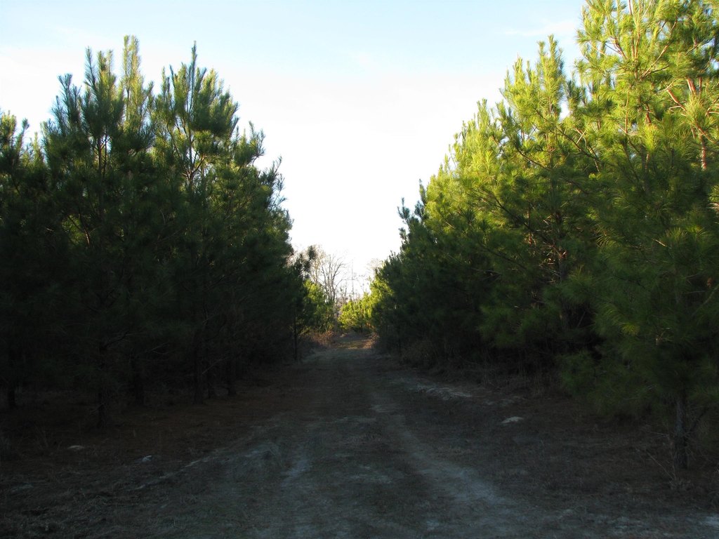 Picture 18
