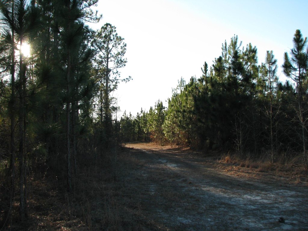 Picture 12