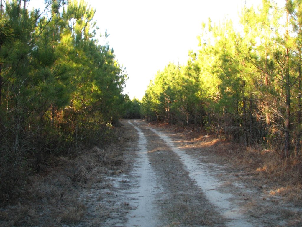 Picture 23