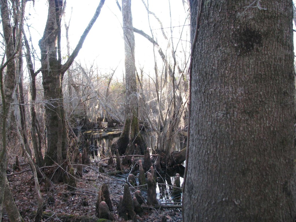 Picture 32