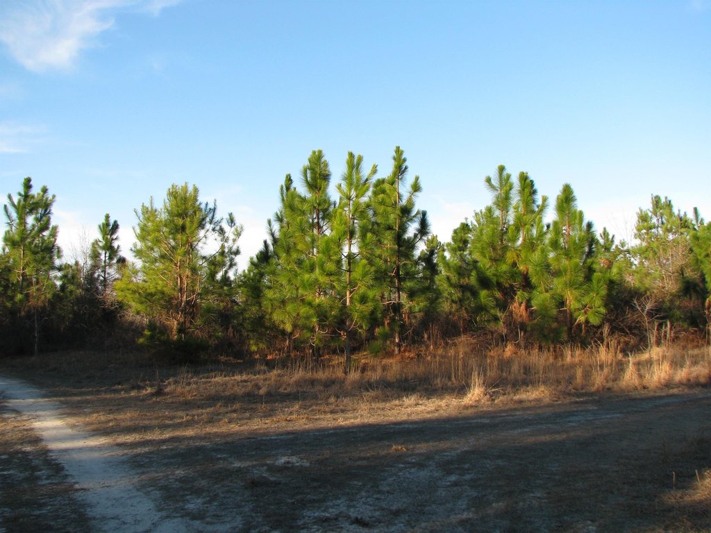 Picture 10