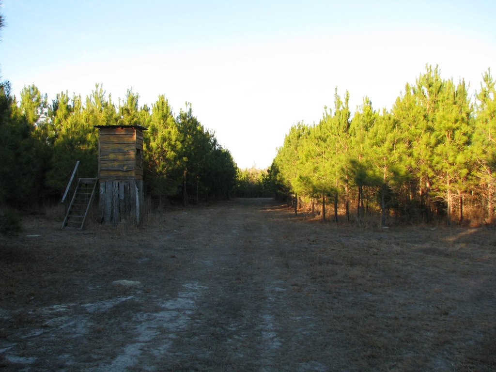 Picture 25