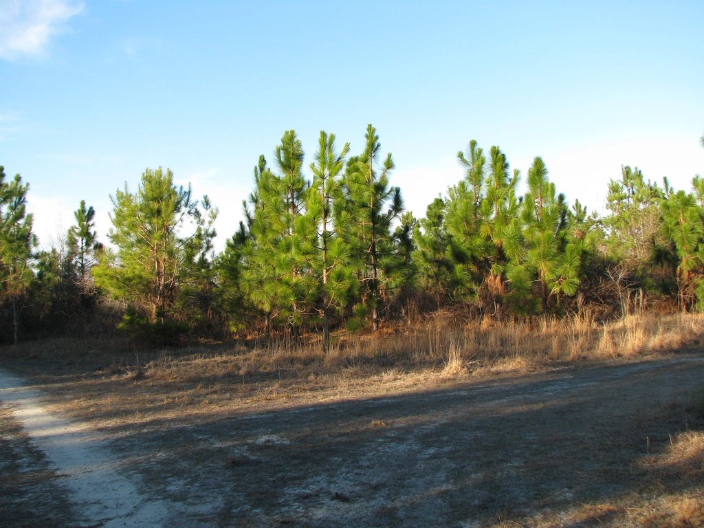 Picture 11