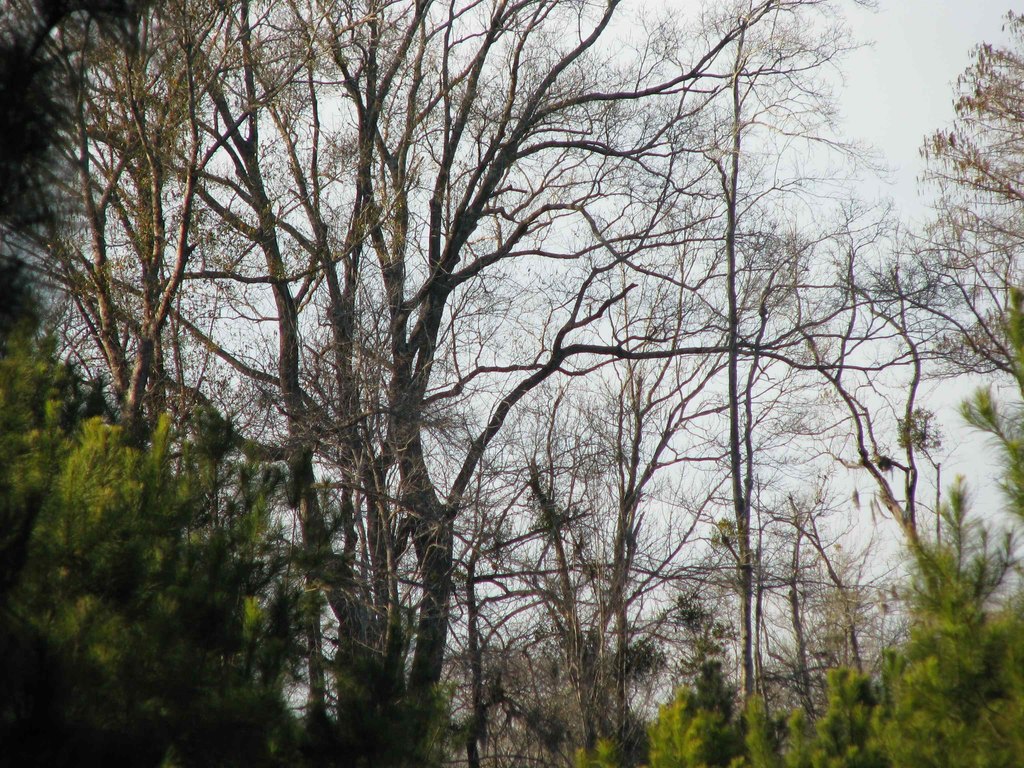 Picture 19