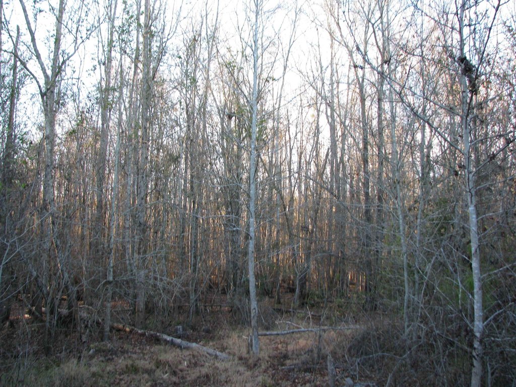 Picture 17