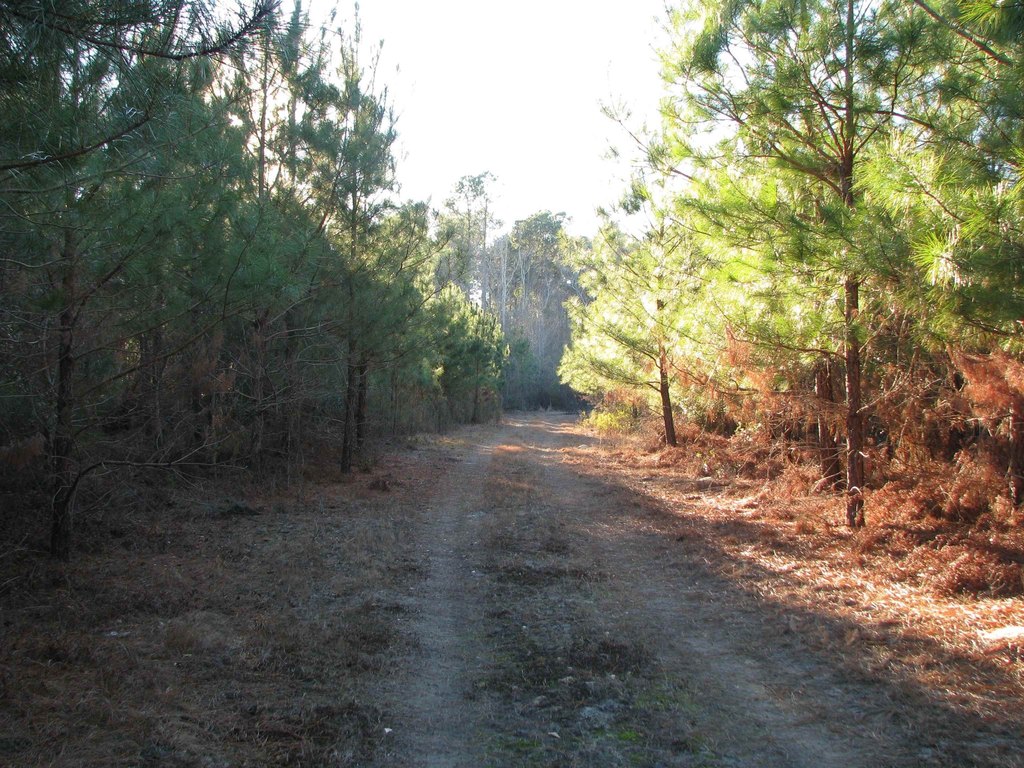 Picture 16