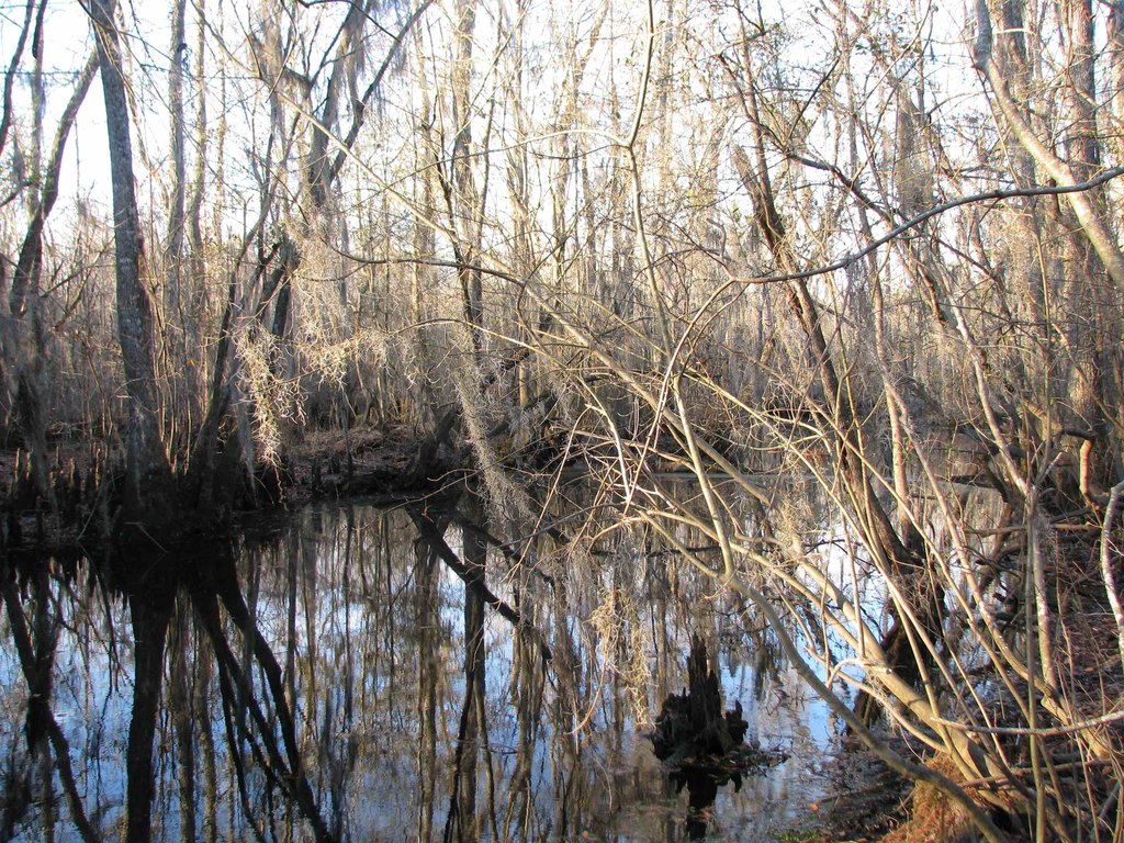 Picture 34