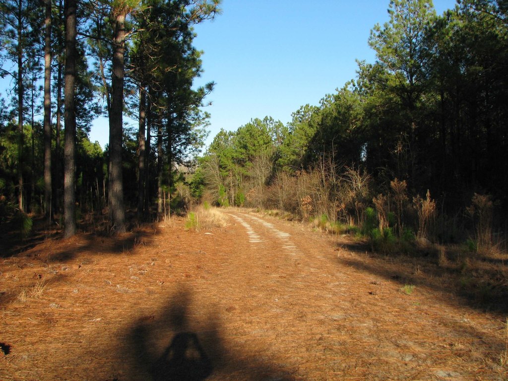 Picture 6
