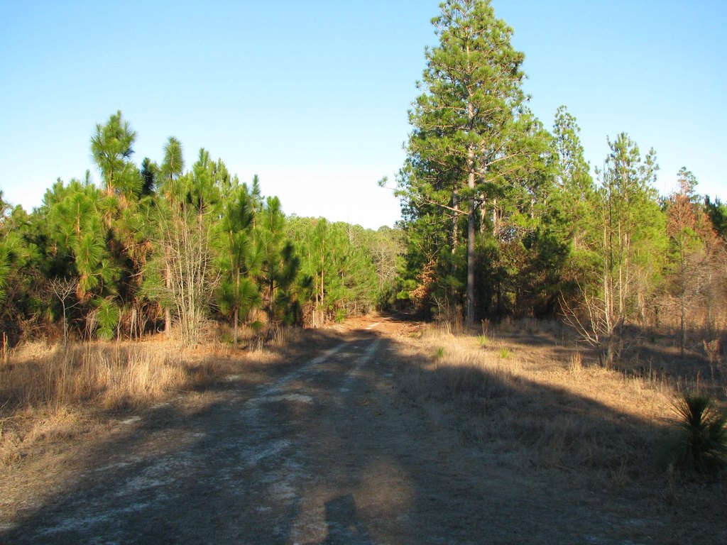 Picture 13