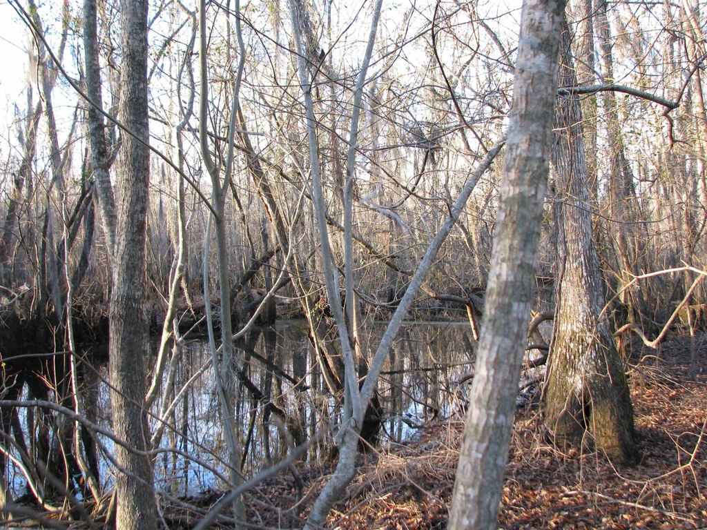 Picture 31