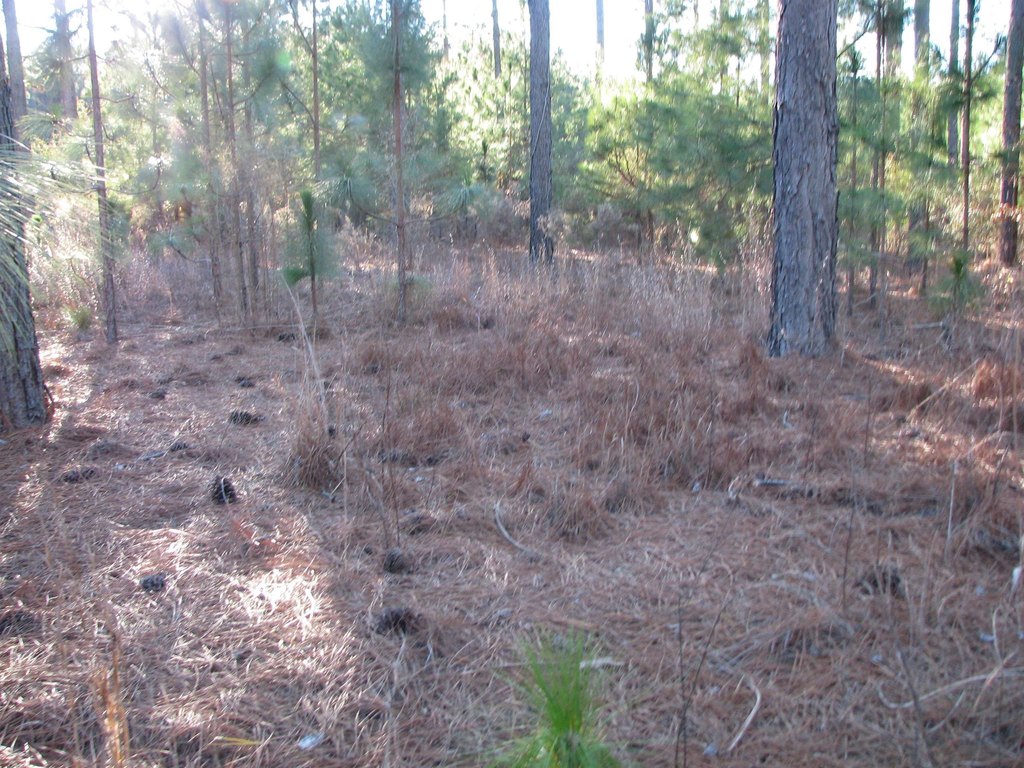 Picture 2