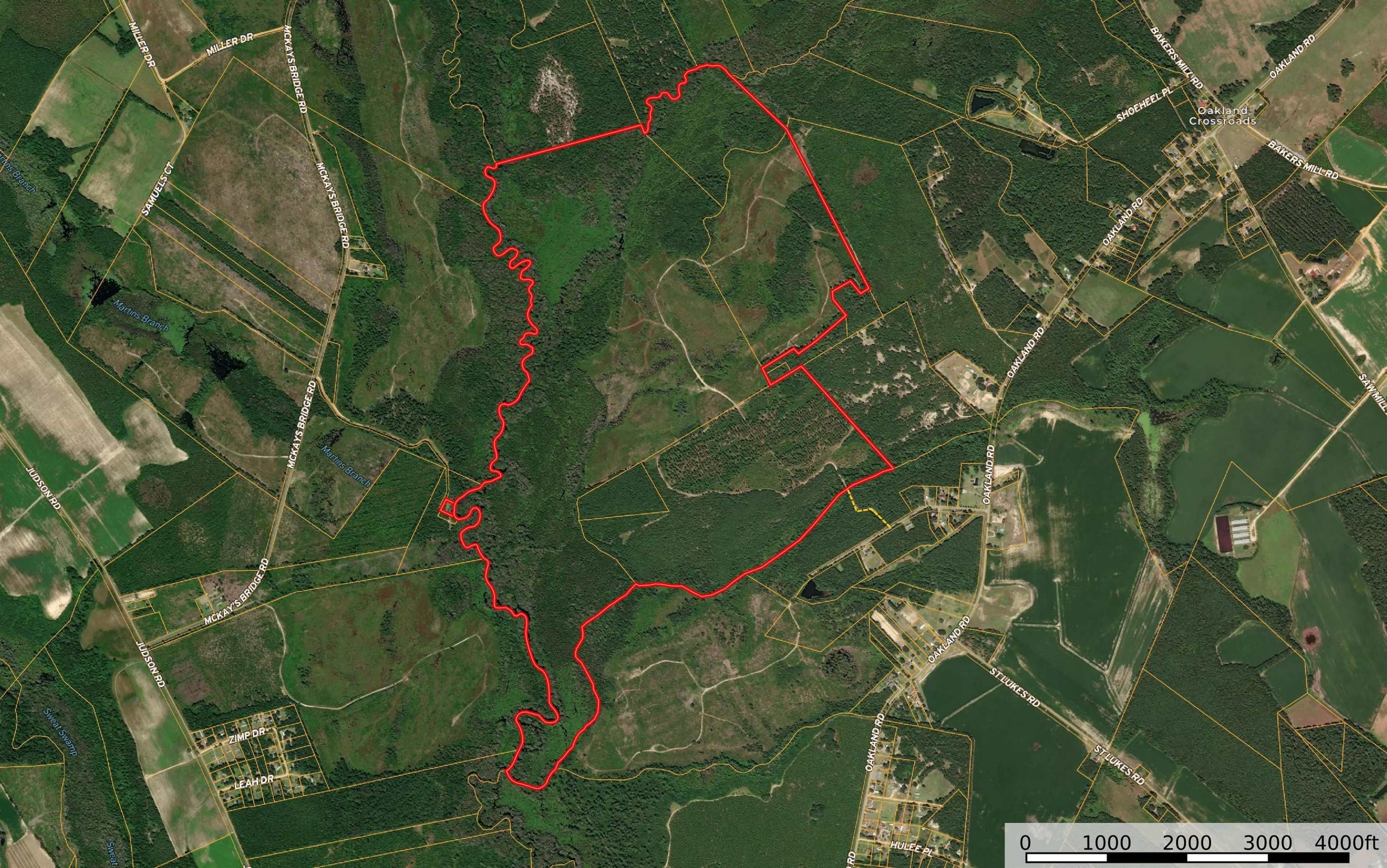 Recreational Timberland in Dillon County