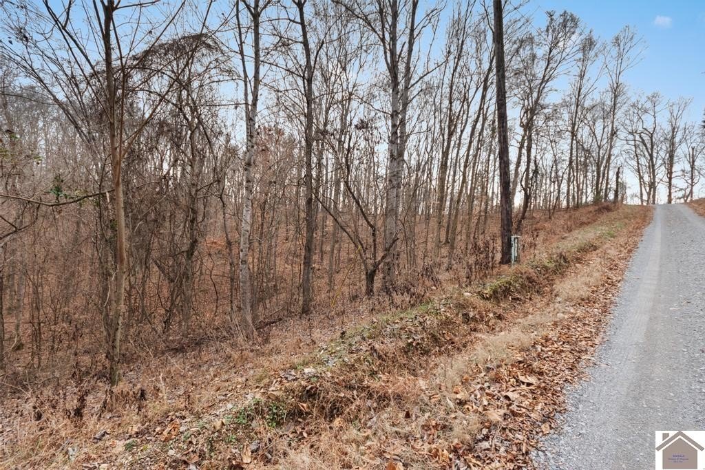 Picture 4