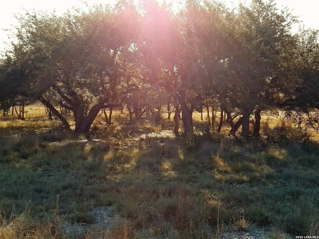 Picture 10
