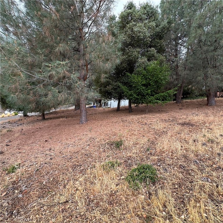 Picture 10