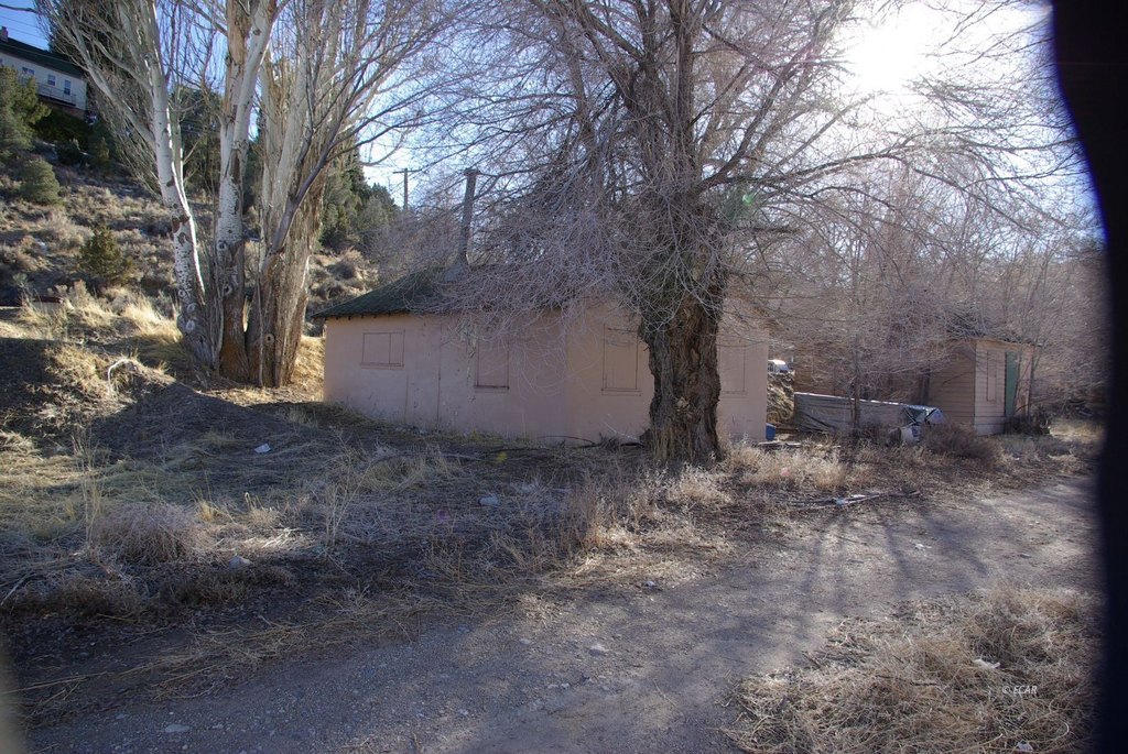 Picture 15