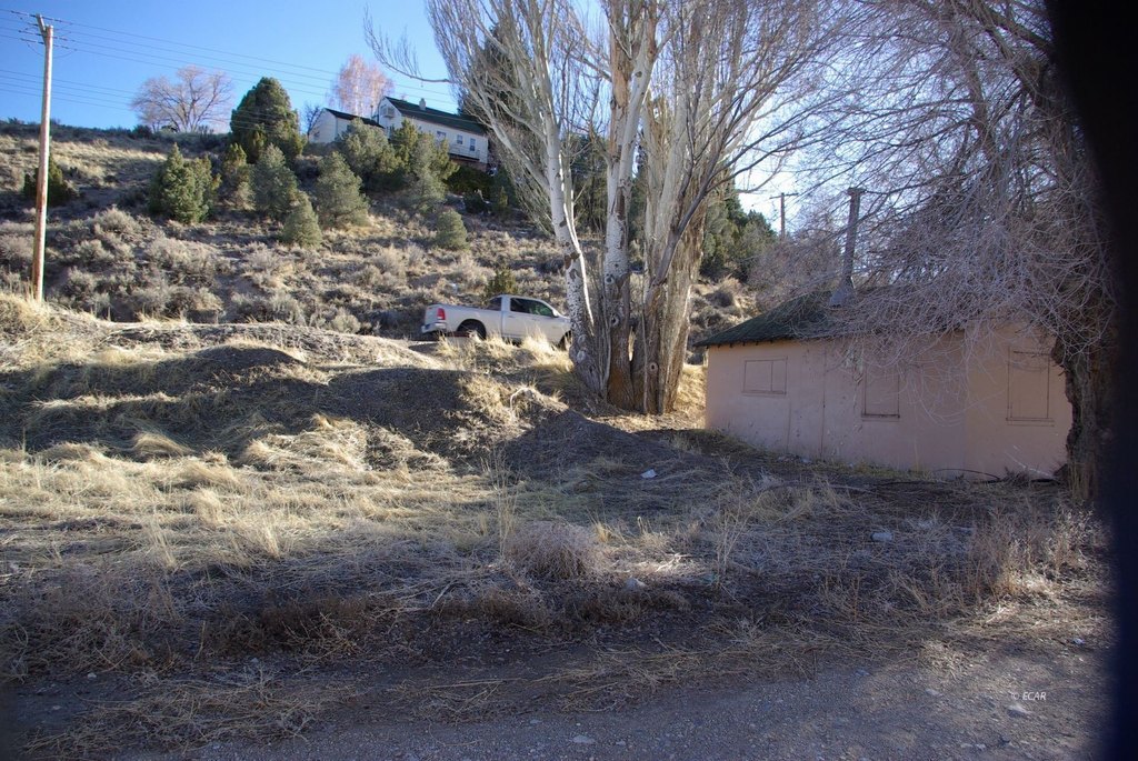 Picture 16