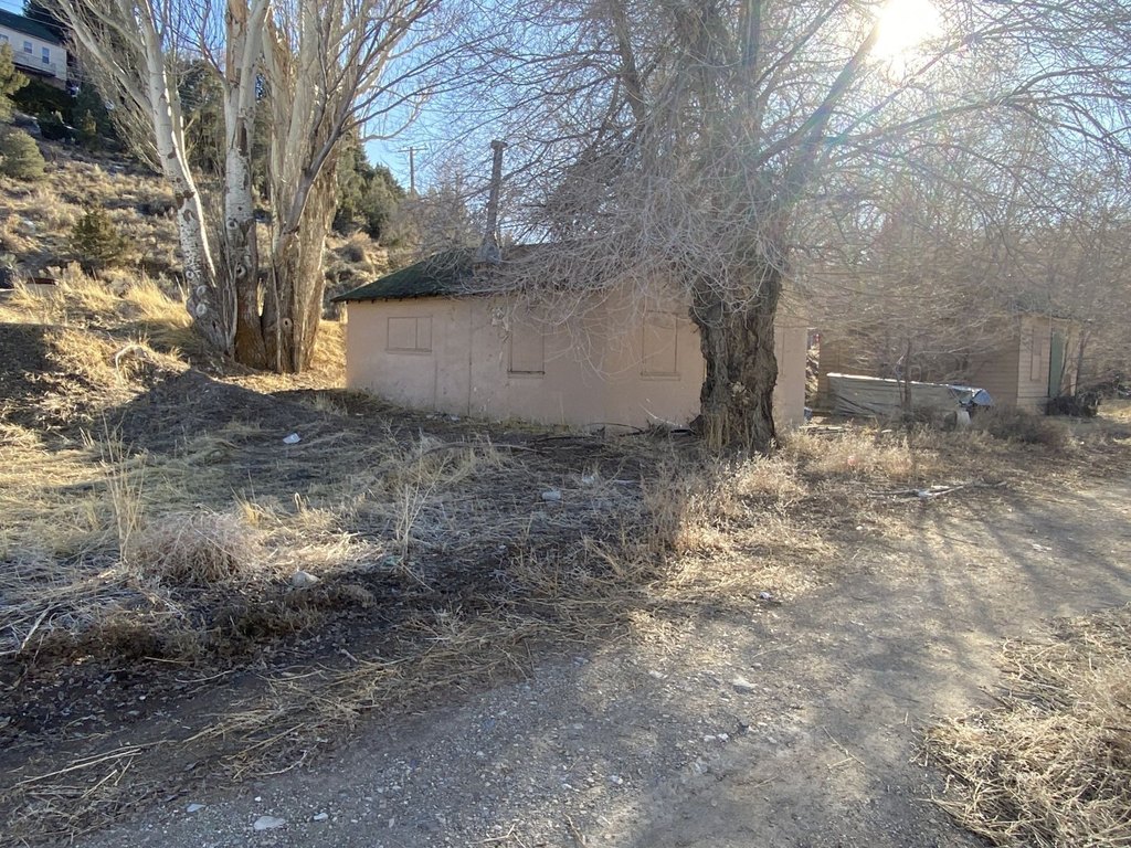 Picture 8