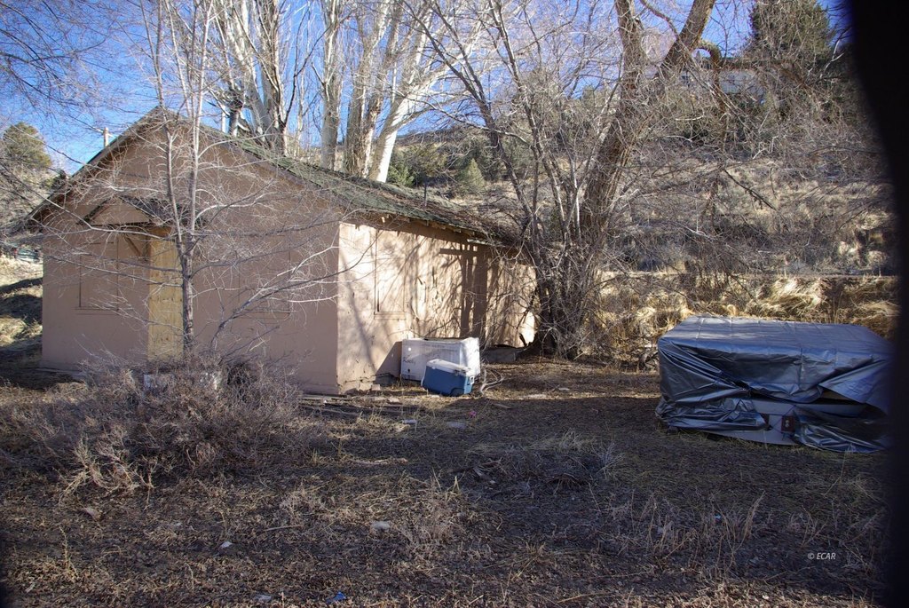 Picture 14