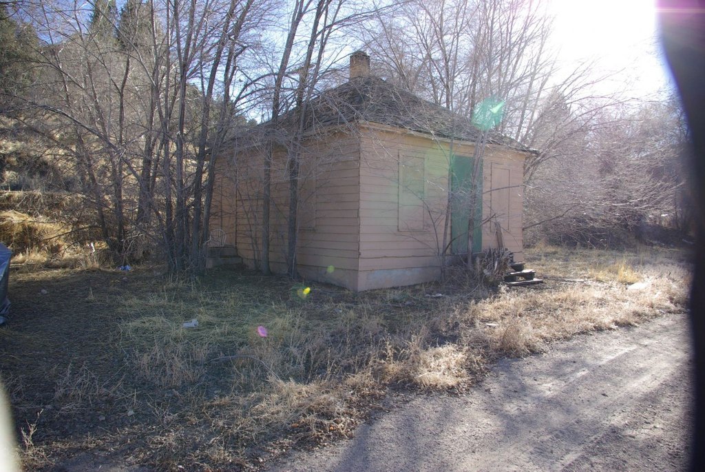 Picture 13