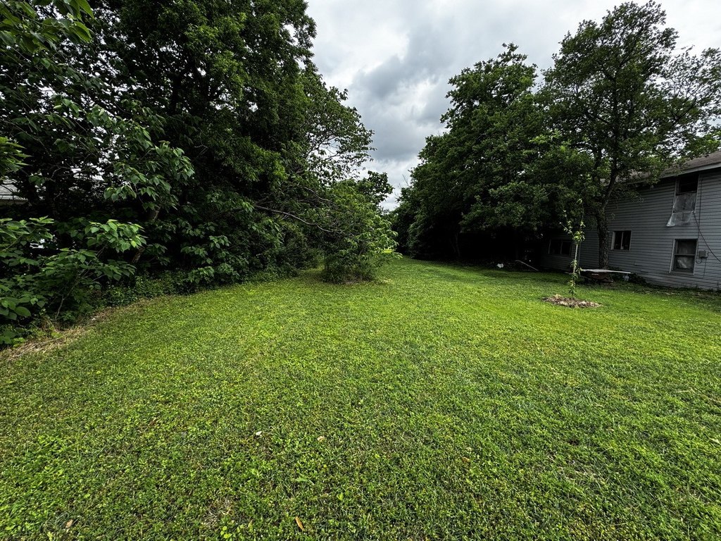 Picture 30