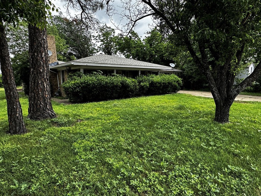 Picture 25