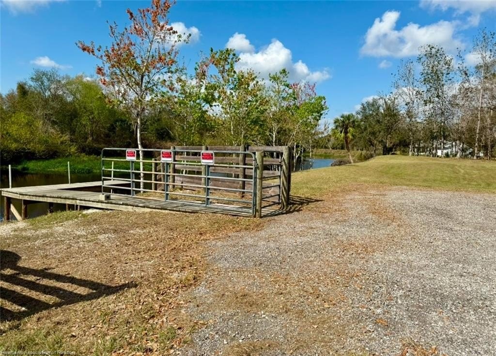 Picture 7