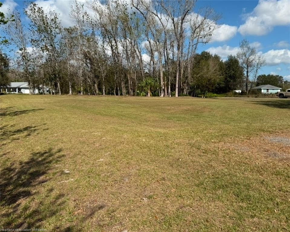 Picture 13
