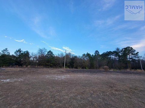 Jesup Commercial Lot For Sale