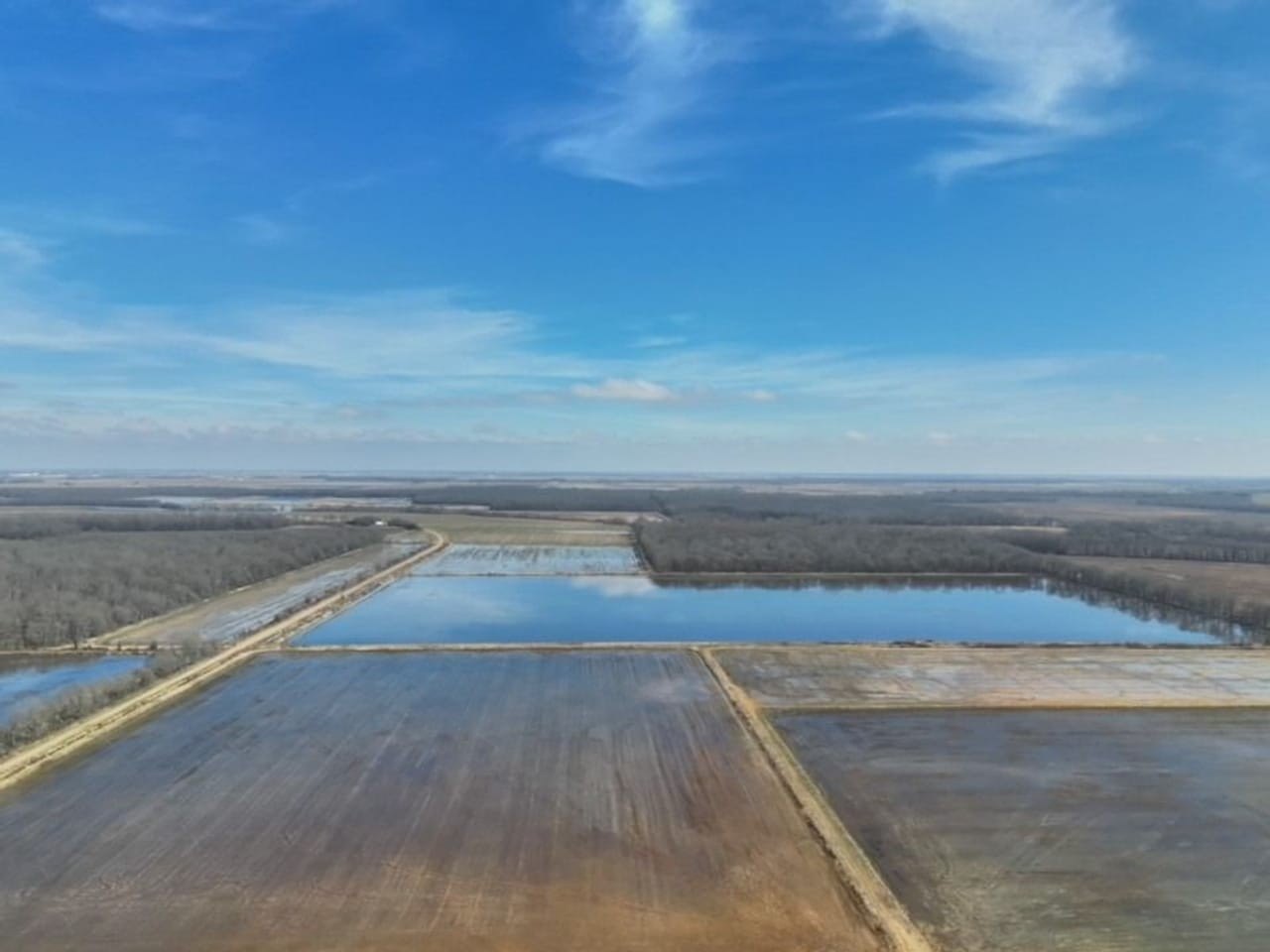 Stuttgart Farmland: Premier Waterfowl Hunting