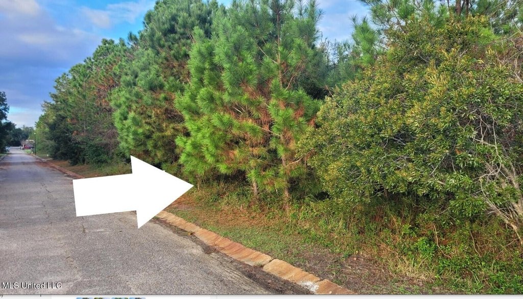 Picture 8