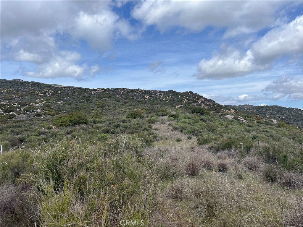 Picture 20