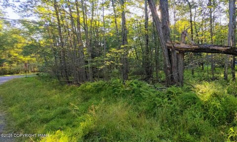 Pocono Lake Land Parcel