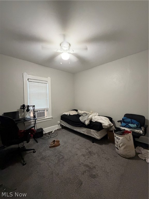 Picture 25