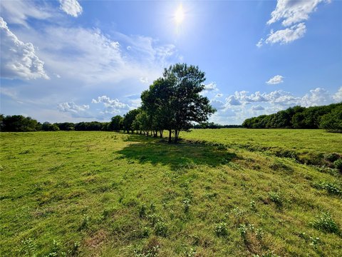 Ranch with Pasture and Ponds