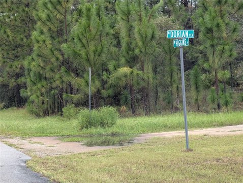 Land, DUNNELLON, FL