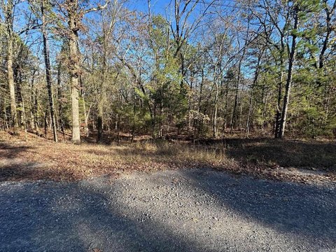 LAND - Higden, AR