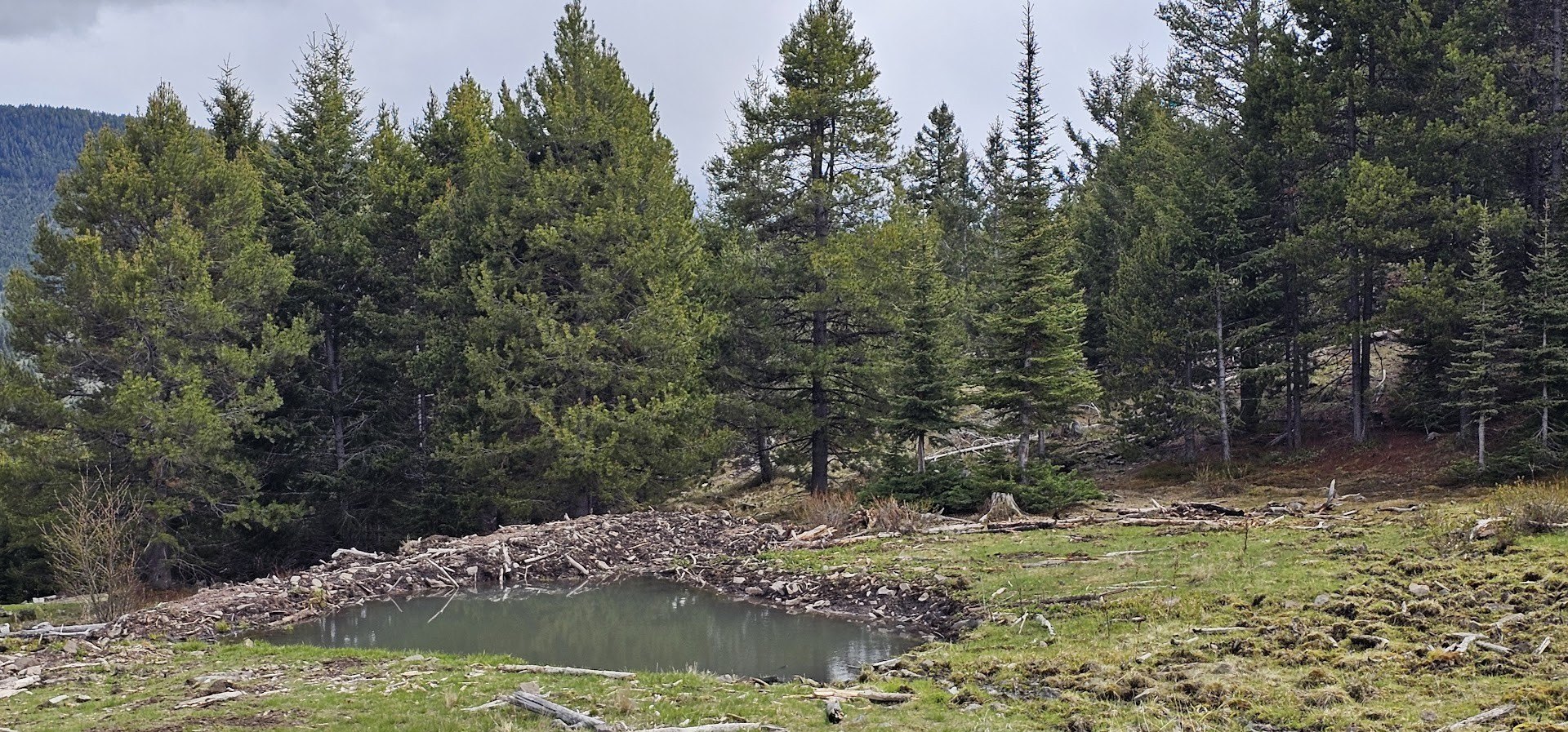 160 Acres Off-Grid Land