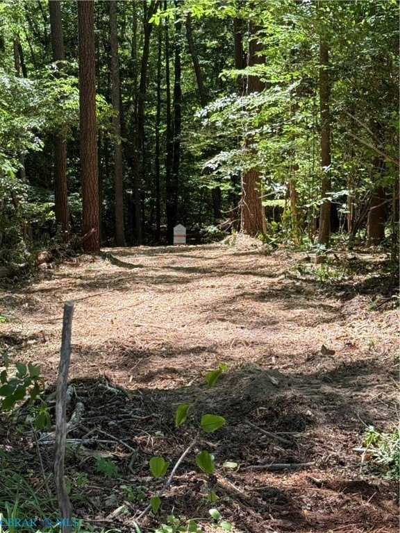 Picture 16