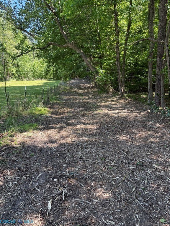 Picture 15