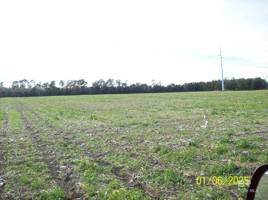 Picture 3