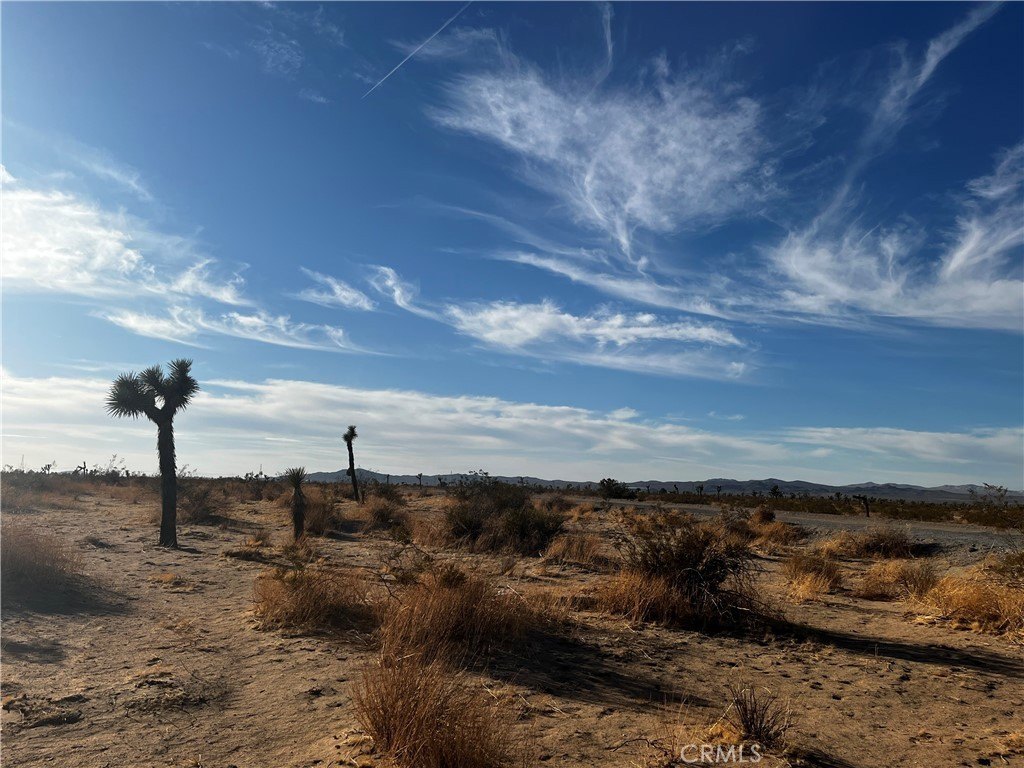 20 Acre Lot Near Route 395