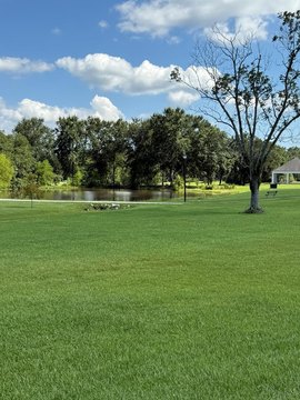 Residential Lot in North Hill