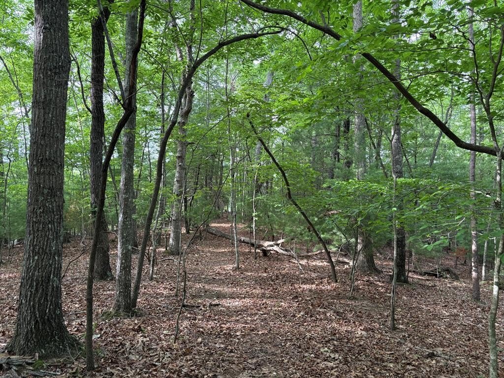 Morganton Acreage with Natural Beauty