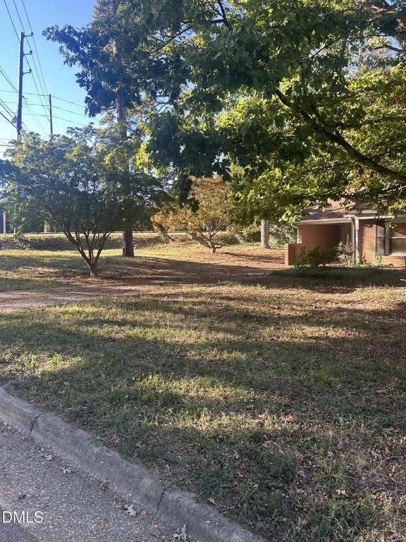 Picture 3