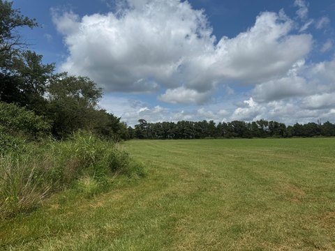 LAND - Seligman, MO