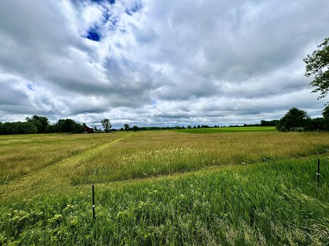 LAND - Howard City, MI