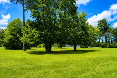 Land, Manning, SC
