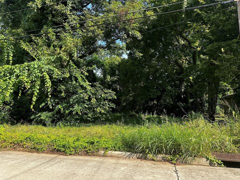 Residential Lot in Waterside Sub