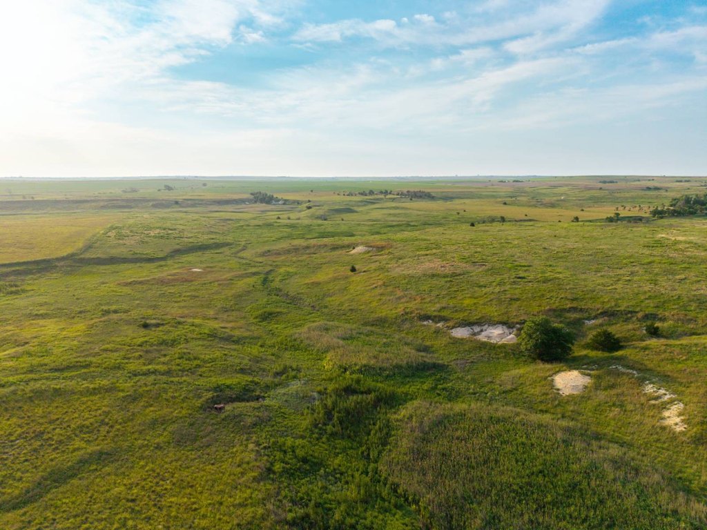 Picture 68